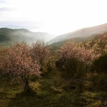Casa Carmela, Rural House With Spectacular Views, In An Exquisite Area Holiday home